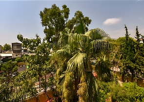 شقة مفروشة 2 + 1 في مجمع على الساحل الأول في وسط ألانيا شقة مفروشة 2 + 1 في مجمع على الساحل الأول في وسط ألانيا