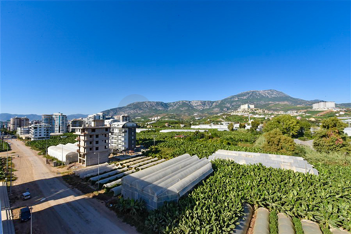 بنتهاوس 3 + 1 مع إطلالة مفتوحة على الجبل في منطقة كارجيجاك بنتهاوس 3 + 1 مع إطلالة مفتوحة على الجبل في منطقة كارجيجاك