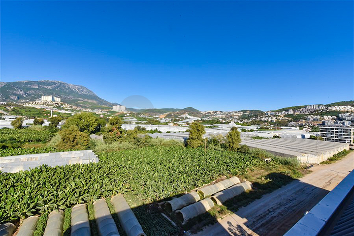 بنتهاوس 3 + 1 مع إطلالة مفتوحة على الجبل في منطقة كارجيجاك بنتهاوس 3 + 1 مع إطلالة مفتوحة على الجبل في منطقة كارجيجاك