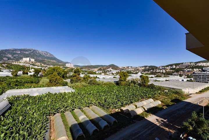 بنتهاوس 3+1 في مجمع جديد في منطقة كارجيجاك بنتهاوس 3+1 في مجمع جديد في منطقة كارجيجاك