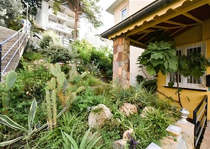 شقة 3+1 مع مطبخ منفصل عند سفح قلعة ألانيا شقة 3+1 مع مطبخ منفصل عند سفح قلعة ألانيا