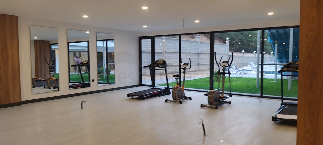 شقة 1 + 1 في وسط بستان صنوبري شقة 1 + 1 في وسط بستان صنوبري