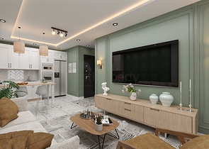 مشروع استثماري على الساحل الأول في منطقة إردملي