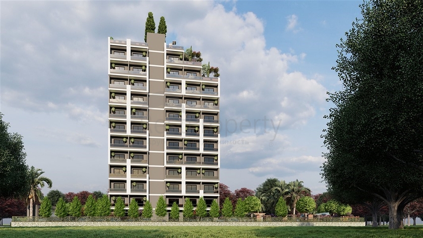 مشروع استثماري في منطقة تيجي الشعبية