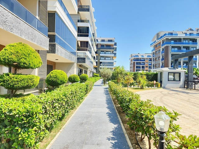 1 + 1 شقة 300 متر من البحر الأبيض المتوسط 1 + 1 شقة 300 متر من البحر الأبيض المتوسط