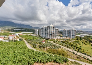 شقة 1+1 مطلة على الجبل والبحر في منطقة محمودلار شقة 1+1 مطلة على الجبل والبحر في منطقة محمودلار