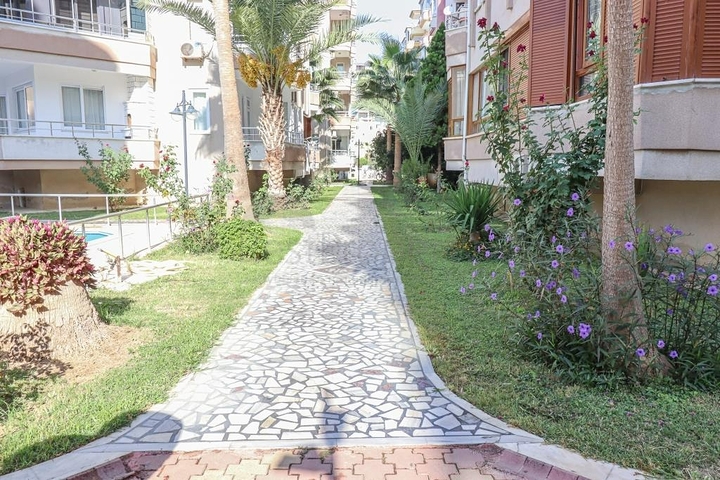 2 + 1 على السطر الأول في محمودلار 2 + 1 على السطر الأول في محمودلار