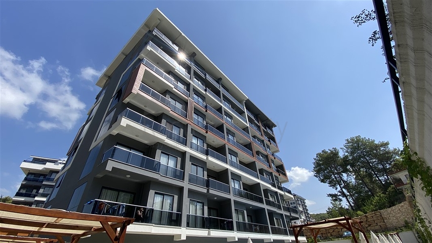 شقة بغرفة نوم واحدة مع تجديد أنيق