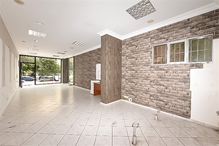 المباني التجارية في وسط ألانيا