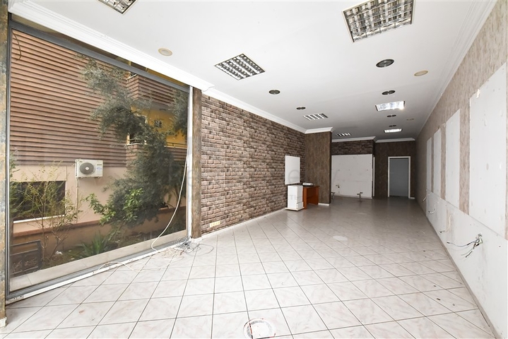 المباني التجارية في وسط ألانيا