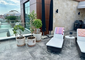 3 + 1 في منطقة سيكجيلي