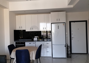 شقة مفروشة بغرفة نوم واحدة مع تخطيط 1 + 1