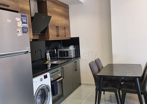 شقة 1+1 في منطقة محمودلار. 