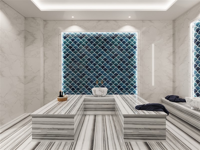 مشروع استثماري في وسط ألانيا