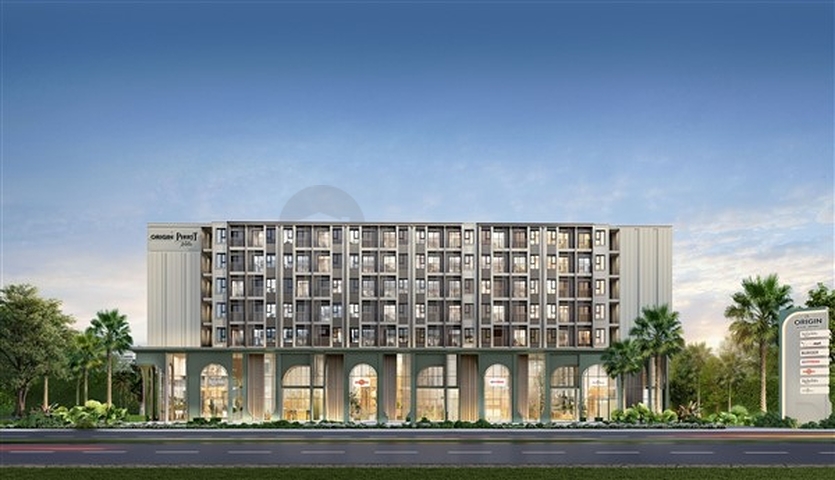 مشروع جديد في وسط فوكيت