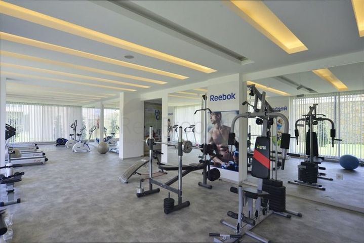 شقة غرفة وصالة -ضمن مجمع يضم كافة الخدمات -في افسلار / الانيا