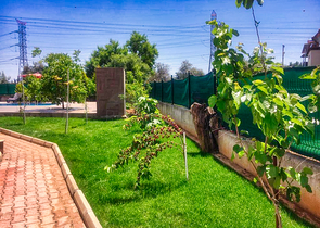 فيلا بقطعة أرض كبيرة في منطقة دواجي - أنطاليا