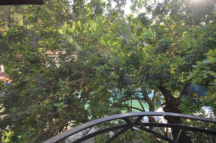 فندق بوتيك 23 غرفة في منطقة فتحية