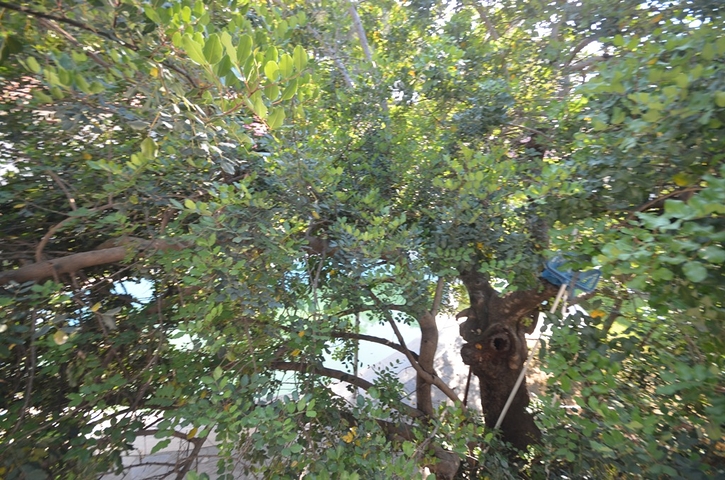 فندق بوتيك 23 غرفة في منطقة فتحية