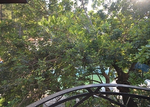 فندق بوتيك 23 غرفة في منطقة فتحية