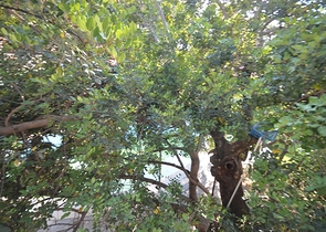 فندق بوتيك 23 غرفة في منطقة فتحية