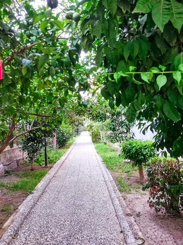 شقة 2 + 1 في ارقى مناطق ليمان - انطاليا