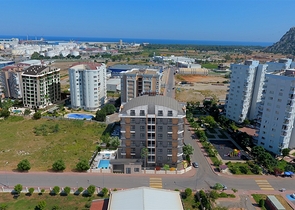 مشروع استثماري بأقساط بدون فوائد لمدة 12 شهر