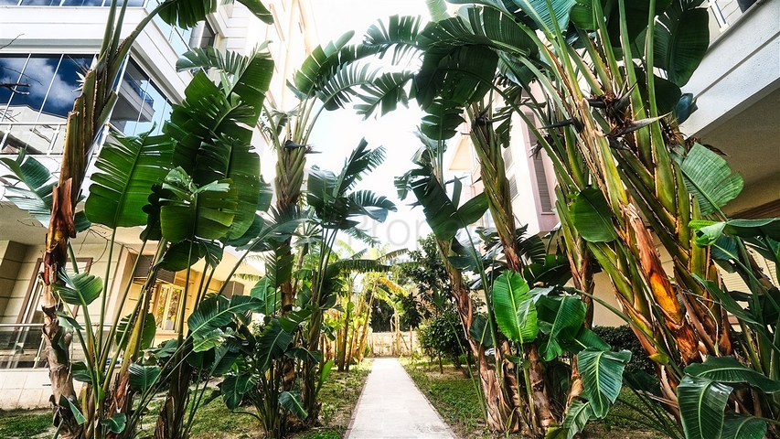 شقة 2 + 1 مفروشة في ليمان كونيالتي