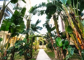 شقة 2 + 1 مفروشة في ليمان كونيالتي