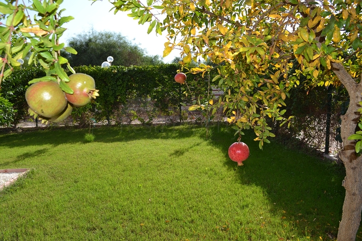 فيلا 4 + 1 مع أثاث في وسط بيليك