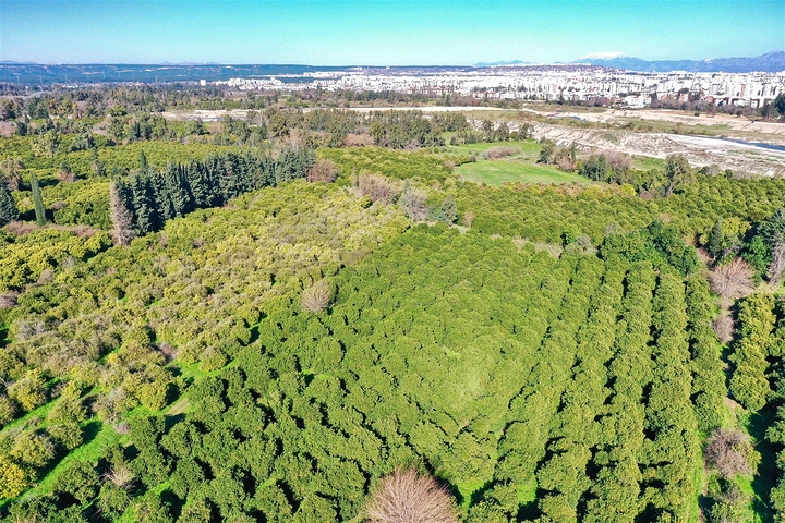 شقة 1 + 1 في منطقة ليمان - أنطاليا