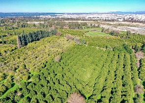 شقة 1 + 1 في منطقة ليمان - أنطاليا