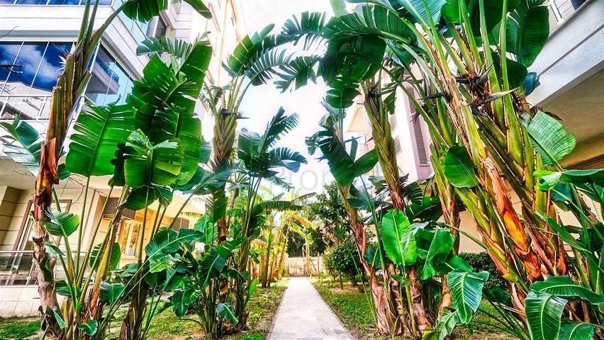 شقة 2 + 1 في منطقة ليمان - أنطاليا