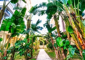 شقة 2 + 1 في منطقة ليمان - أنطاليا