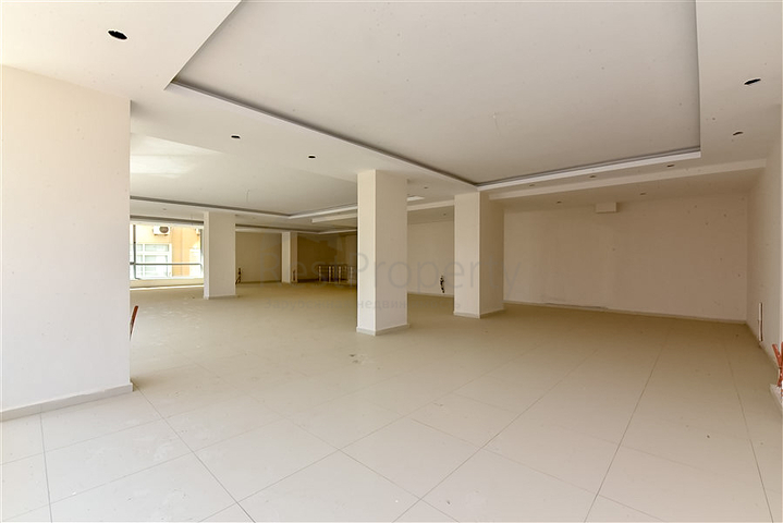 المباني التجارية لمنطقة كبيرة في الجزء السفلي