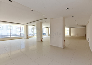 المباني التجارية لمنطقة كبيرة في الجزء السفلي