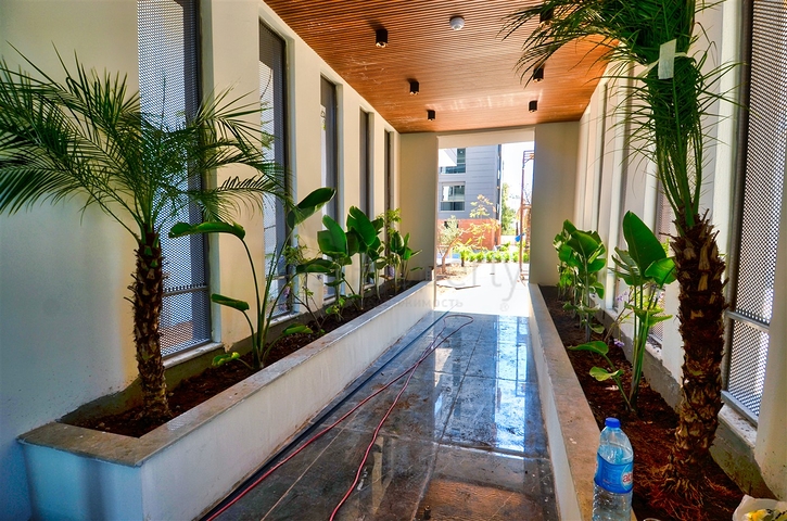 مشروع استثماري في منطقة كيبيز-أنطاليا 