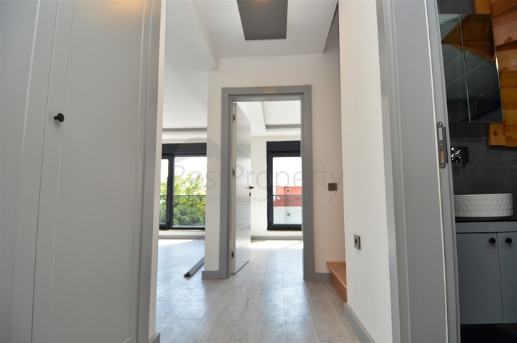 مشروع استثماري في منطقة البرسيمون - أنطاليا الصغيرة