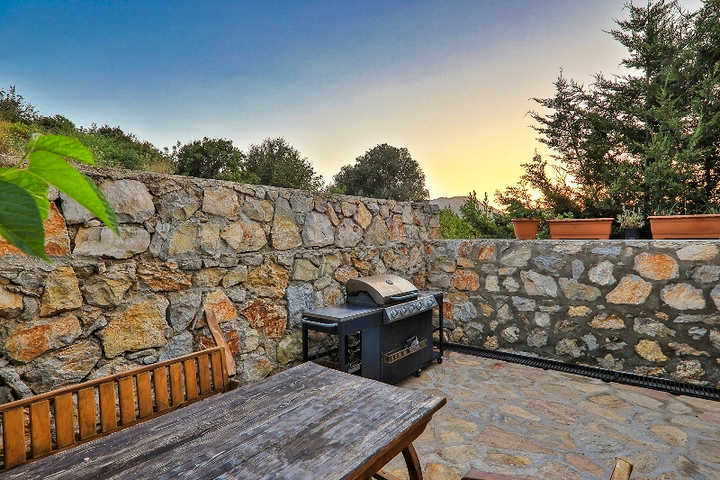 فيلا بحمام سباحة 5+1 في منطقة فتحية 