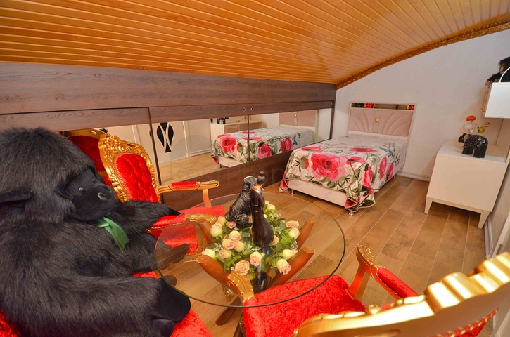 فلل فاخرة ، تخطيط 5 + 2 في ساريسو - حي أنطاليا 