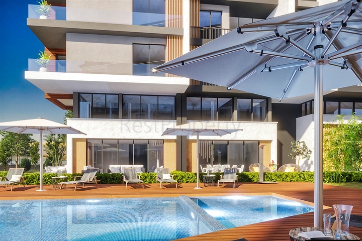 مشروع استثماري في البرسيمون-كونيالتي