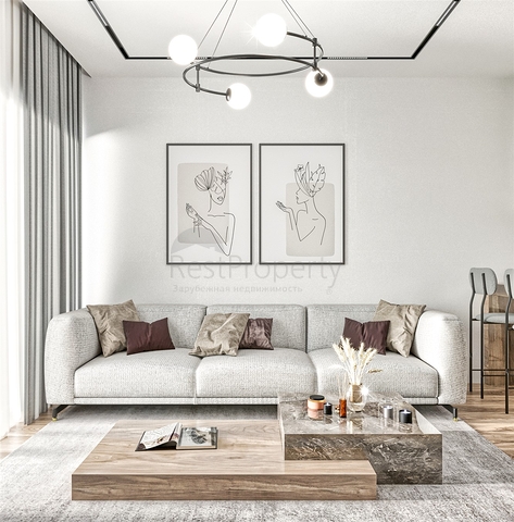 مشروع استثماري في البرسيمون-كونيالتي