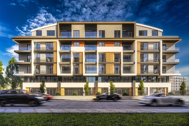 مشروع استثماري في البرسيمون-كونيالتي