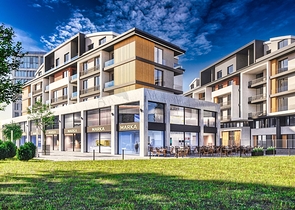 مشروع استثماري في البرسيمون-كونيالتي