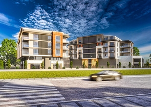 مشروع استثماري في البرسيمون-كونيالتي