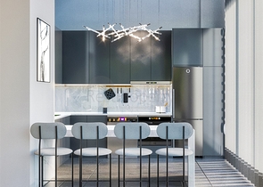 مشروع استثماري في البرسيمون-كونيالتي