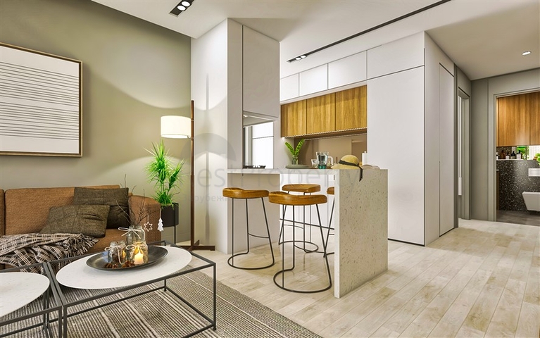 مشروع استثماري في منطقة التينتاس-أنطاليا 