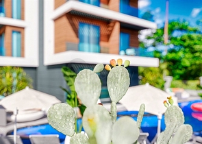 مشروع استثماري في منطقة التينتاس-أنطاليا 