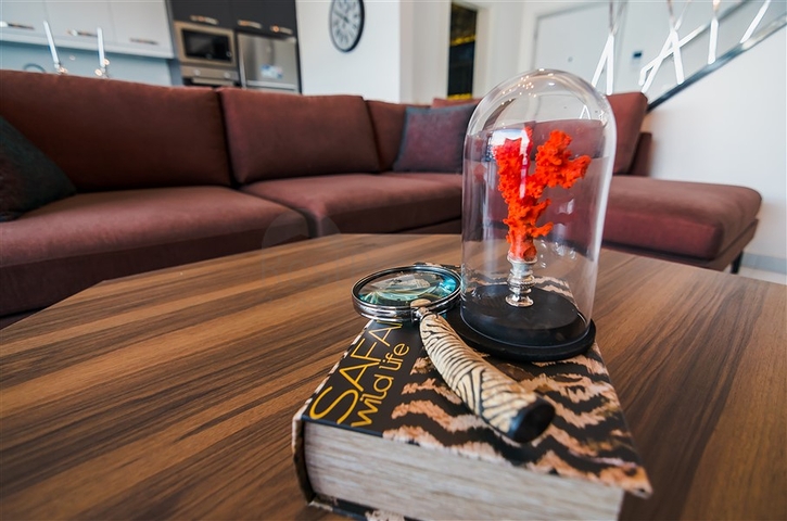 مشروع استثماري جديد في كارجي جاك الانيا