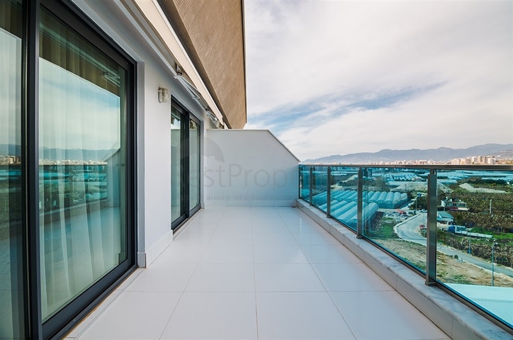 مشروع استثماري جديد في كارجي جاك الانيا